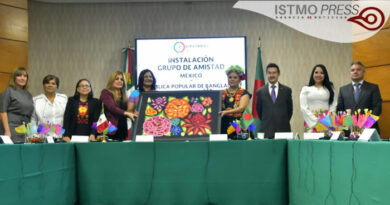 Buscaremos nuevas áreas de oportunidad en la relación México-Bangladesh: Rosalinda Domínguez Flores*