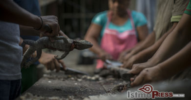 Comer iguana no es un delito, es un deleite para los zapotecas