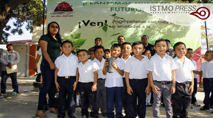 11 Feb SB reforestación1