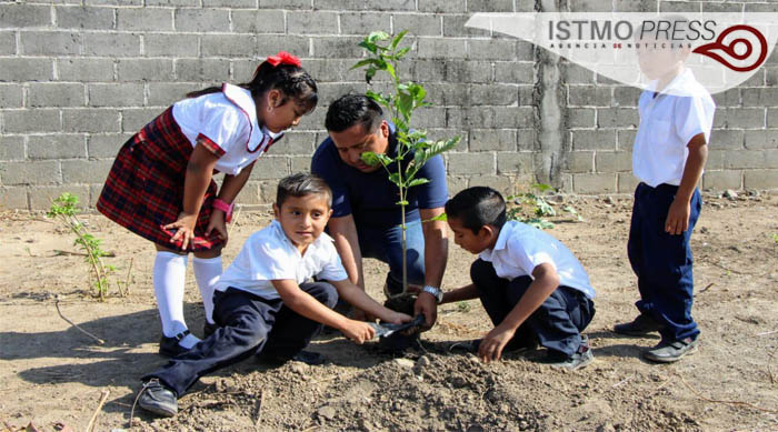 11 Feb SB reforestación2