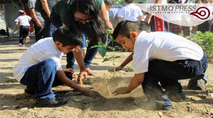 11 Feb SB reforestación3