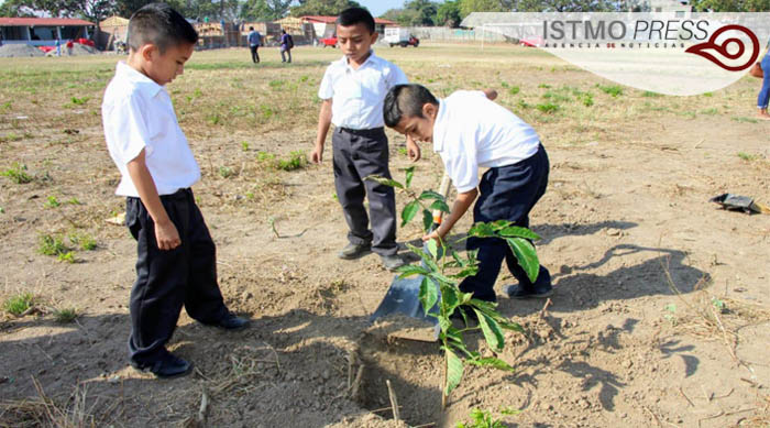 11 Feb SB reforestación5