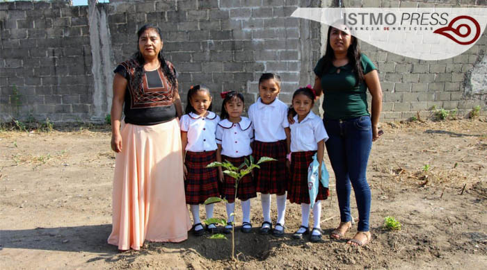 11 Feb SB reforestación6