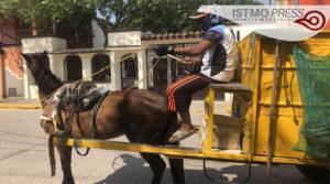 21 Mar Juchitán1