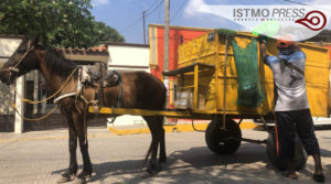 21 Mar Juchitán2