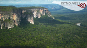 día de la naturaleza9