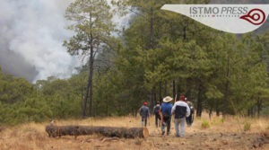 12 Abr Brigadistas forestales incendio en la mixteca de Oaxaca2