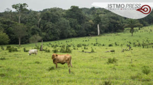 22 Abr Día Internacional de La Tierra1