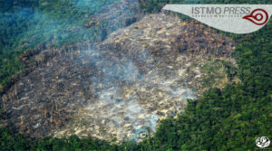 22 Abr Día Internacional de La Tierra2