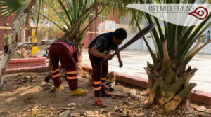 16 May Remozan parque Juchitán