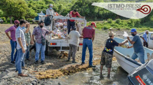 05 Jul apoyo alimentario para fam ikoos EM3