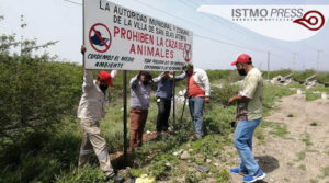 18 Jul SB prohibe caza de venados3