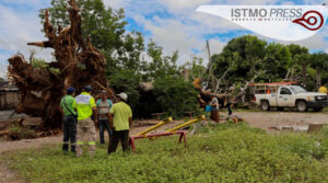 Juchitán protección civil1