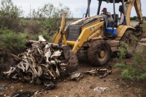 Foto 12. La fosa clandestina donde se encontró el cuerpo de Belisario estaba en un campo usado como rastro clandestino de caballos. Crédito_ Luis Brito