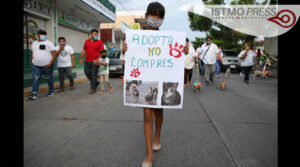 Marcha canina1