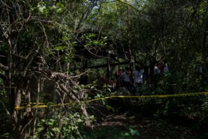 Búsqueda en La Gallera por Erika Lozano