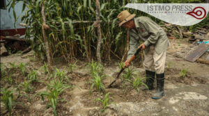 Héctor Cartas campesino zapoteca