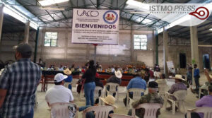 Universidad1