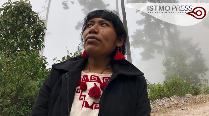 Red de Defensoras  piden a fiscalías de Oaxaca y Ciudad de México  no revictimizar a la guardabosques desaparecida, Irma Galindo