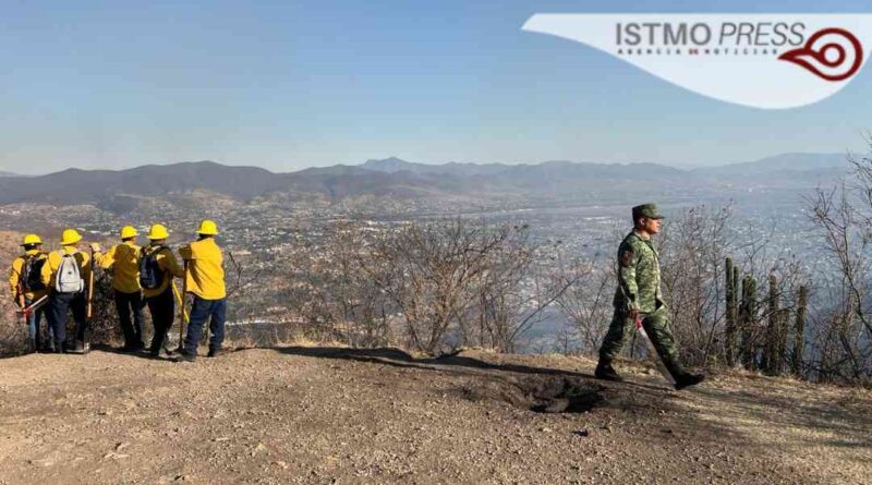 Incendio en Oaxaca consume 30 hectáreas de polígono de Monte Albán