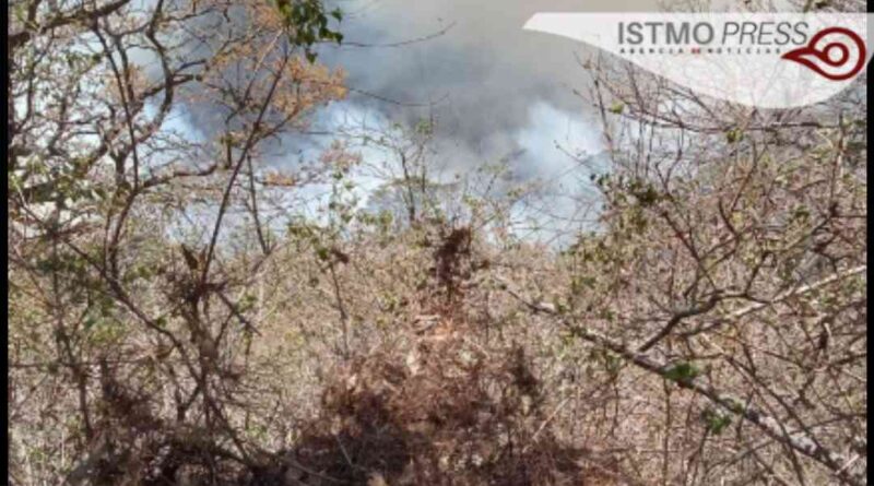 Alertan comuneros de dos incendios en la zona chontal y mixe zapoteca de Oaxaca; suman 26 mil hectáreas afectadas