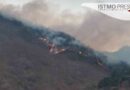 Por incendios declaran emergencia la selva de los Chimalapas en Oaxaca