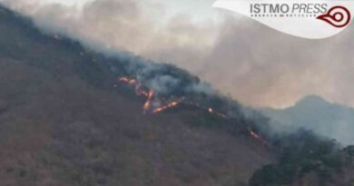 Por incendios declaran emergencia la selva de los Chimalapas en Oaxaca