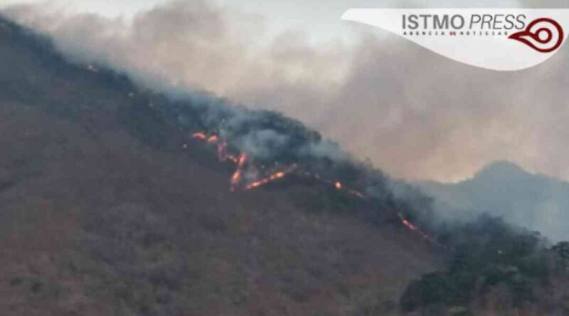 Por incendios declaran emergencia la selva de los Chimalapas en Oaxaca