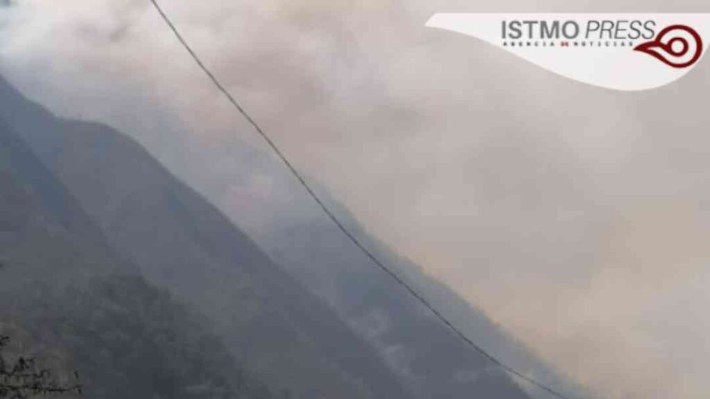Por incendios declaran emergencia la selva de los Chimalapas en Oaxaca ...