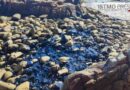 Por enésima ocasión Pemex contamina con aguas negras la playa “La Ventosa” en Salina Cruz, Oaxaca denuncian pescadores