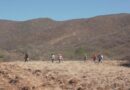 Tras casi 72 horas, controlan  incendio que consumió más de 500 hectáreas en Valles de Oaxaca