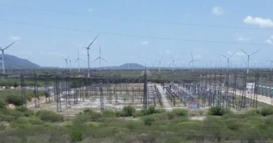 El despojo de clase mundial de la CFE en tierras zapotecas El despojo de clase mundial de la CFE en tierras zapotecas