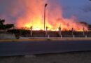 Consume incendio más de mil 500 árboles del programa “sembrando vida” en Unión Hidalgo, Oaxaca