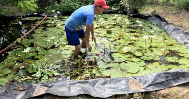 De basurero a humedal de stagabe’ñe y mudubina: Así construyó Francisco, un hombre zapoteca una fuente de vida en Juchitán, Oaxaca