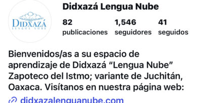 “Didxazá lengua nube”, herramienta digital creada por Héctor Lii para revalorizar su lengua madre “Didxazá lengua nube”, herramienta digital creada por Héctor Lii para revalorizar su lengua madre