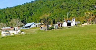 Comité Nacional para la Defensa de los Chimalapas alerta posible masacre en los pueblos de Chocomanatlán y Nuevo San Andrés; exigen guardias federales