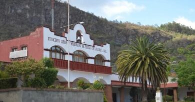 Prohíben venta y promoción de bebidas energizantes en municipio zapoteca de Oaxaca