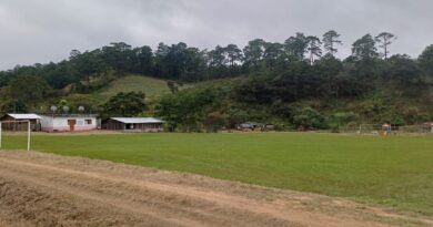Chimalapas se ampara ante sentencia que favorece a ejidos chiapanecos: “Están acabando con nuestra selva, y las autoridades lo avalan” Chimalapas se ampara ante sentencia que favorece a ejidos chiapanecos: “Están acabando con nuestra selva, y las autoridades lo avalan”