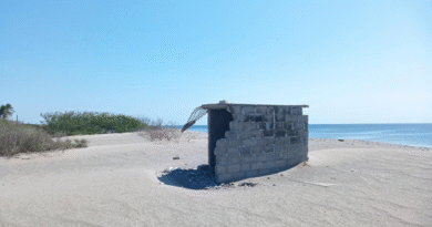 Desplazamiento forzado en el Istmo: El impacto irreversible de las megaobras en la Colonia Cuauhtémoc de San Mateo del Mar, Oaxaca