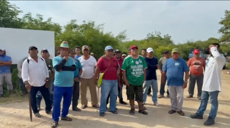 Alertan pescadores de Juchitán, Oaxaca de nuevo despojo de su territorio para construir un parque eólico