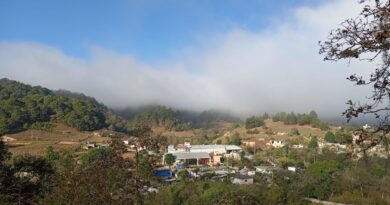 Policías comunitarios agreden a defensora Ñuu Savi en Agua Fría, Oaxaca Policías comunitarios agreden a defensora Ñuu Savi en Agua Fría, Oaxaca