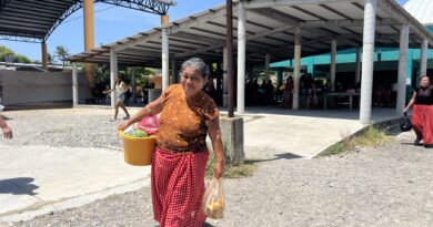 La consulta de la Ley Indigena es: “mero trámite, una simulación, los pueblos nunca nos beneficiamos” La consulta de la Ley Indigena es: “mero trámite, una simulación, los pueblos nunca nos beneficiamos”