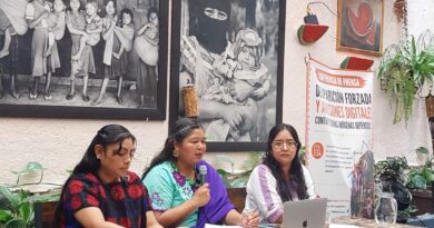 Borrar condición indígena de personas desaparecidas es violencia y racismo institucional revela estudio Borrar condición indígena de personas desaparecidas es violencia y racismo institucional revela estudio