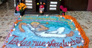 ¿ Desarrollo para quién?: Lanzan campaña en Oaxaca por una reflexión colectiva por la llegada de megaproyectos a comunidades ¿ Desarrollo para quién?: Lanzan campaña en Oaxaca por una reflexión colectiva por la llegada de megaproyectos a comunidades