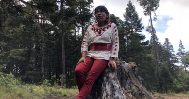 Cinco años sin Irma Galindo; la guardabosques Ñuu Savi quién es beneficiaria del Mecanismo de protección y desapareció Cinco años sin Irma Galindo; la guardabosques Ñuu Savi quién es beneficiaria del Mecanismo de protección y desapareció