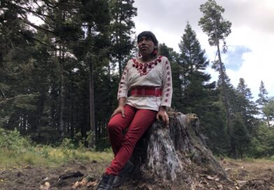 Cinco años sin Irma Galindo; la guardabosques Ñuu Savi quién es beneficiaria del Mecanismo de protección y desapareció Cinco años sin Irma Galindo; la guardabosques Ñuu Savi quién es beneficiaria del Mecanismo de protección y desapareció