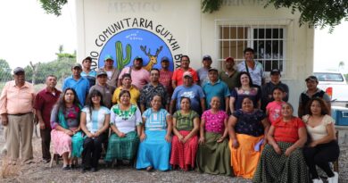 Violencia digital, la nueva forma de ataque contra quienes viven y defienden territorios indigenas revela estudio Violencia digital, la nueva forma de ataque contra quienes viven y defienden territorios indigenas revela estudio